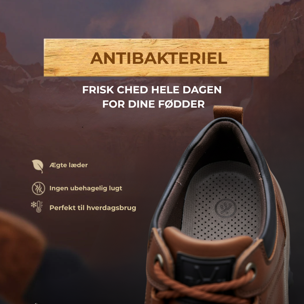 Lædersko Esrum Sø™ | Efterår – Vinter 2025k